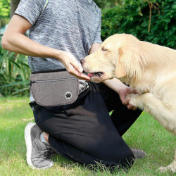 Puppy Treat Pouch avec laisse Portable Pet Reward Pouch pour l’entraînement d’agilité du chien Puppy Treat Pouch avec laisse Portable Pet Reward Pouch pour l’entraînement d’agilité du chien