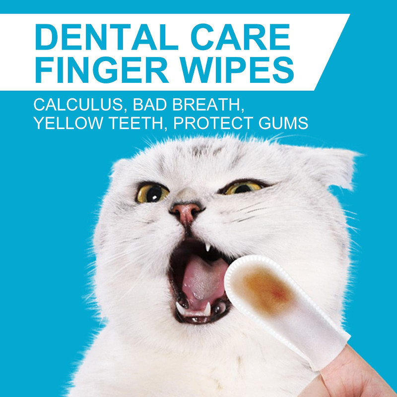 Pet Teeth Cleaning Gloves to Remove Tartar Disposable Toothbrush Gloves Oral Cleaning and Remove Bad Breath 50PC zd r