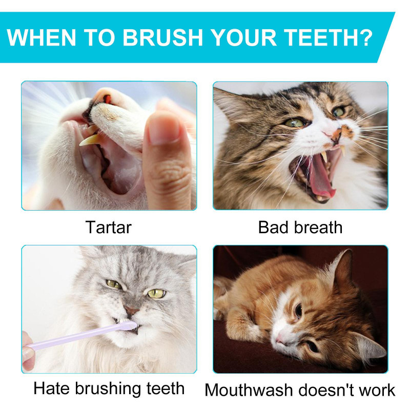 Pet Teeth Cleaning Gloves to Remove Tartar Disposable Toothbrush Gloves Oral Cleaning and Remove Bad Breath 50PC zd r