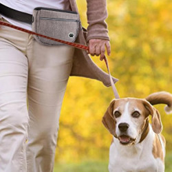 Puppy Treat Pouch avec laisse Portable Pet Reward Pouch pour l’entraînement d’agilité du chien Puppy Treat Pouch avec laisse Portable Pet Reward Pouch pour l’entraînement d’agilité du chien