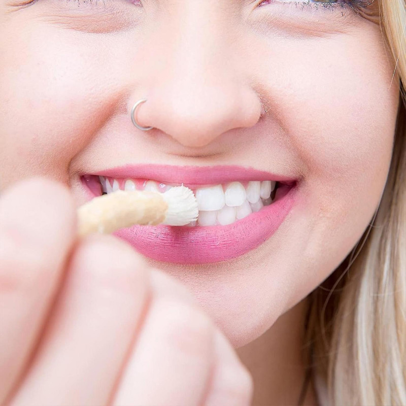 Toothbrush, Tooth Cleaning Stick, Toothbrush Stick, Effective Traditional Stick from the Middle East