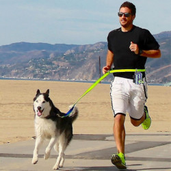 Porte-sac à crottes pour chiens, porte-sac à ordures pour animaux de compagnie Porte-bagages en laisse, tissu [...]