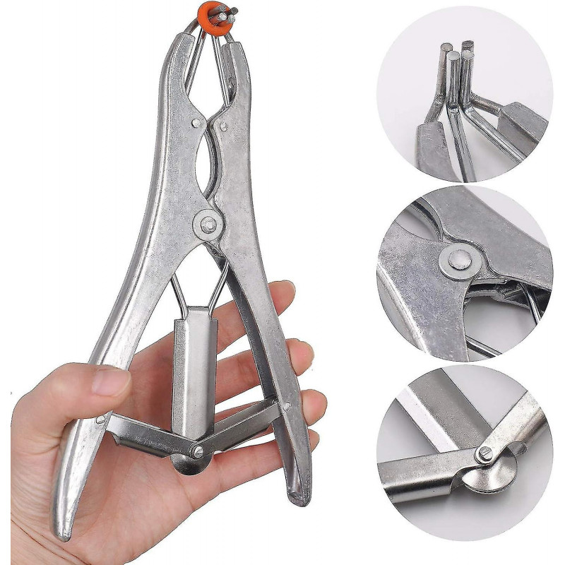 Pince de castration, pince de castration élastique en acier inoxydable, pour bovins, porcs, moutons, avec 100 [...]