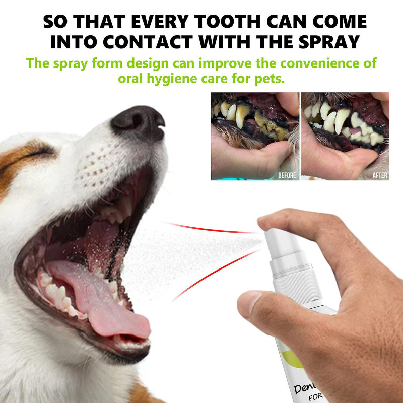 Fresh Breath Oral Care Spray for Dogs & CatsMint Breath Freshener Pet Bad Breath Treatment