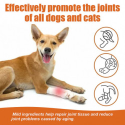 Huile de thérapie articulaire et osseuse de venin d’abeille pour chiens et chats, huile de venin d’abeille pour [...]