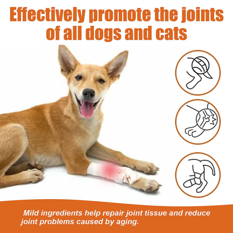 Huile de thérapie articulaire et osseuse de venin d’abeille pour chiens et chats, huile de venin d’abeille pour [...]