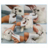 Dog Finger Toothbrush 2-fingers Design Teeth Cleaning For Cats Dogs Washable