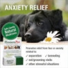 HomeoPet Chien Soulagement de l’Anxiété 15ml