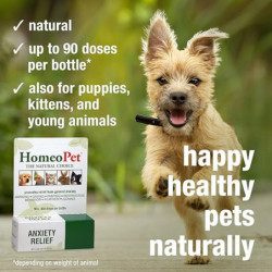 HomeoPet Chien Soulagement de l’Anxiété 15ml HomeoPet Chien Soulagement de l’Anxiété 15ml