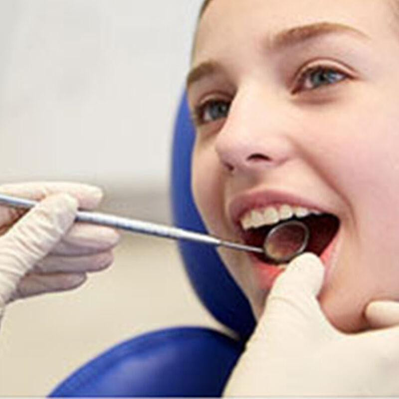 Professional Dental Tools For Dogs - Stainless Steel Tartar Remover, Scaler, And Scraper For Effective Oral Care