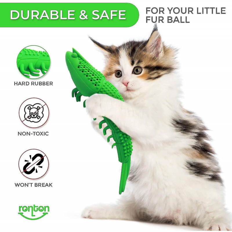 Jouet d’herbe à chat Brosse à dents pour chat - Caoutchouc dur durable - Cat Dental Care, Cat Interactive [...]
