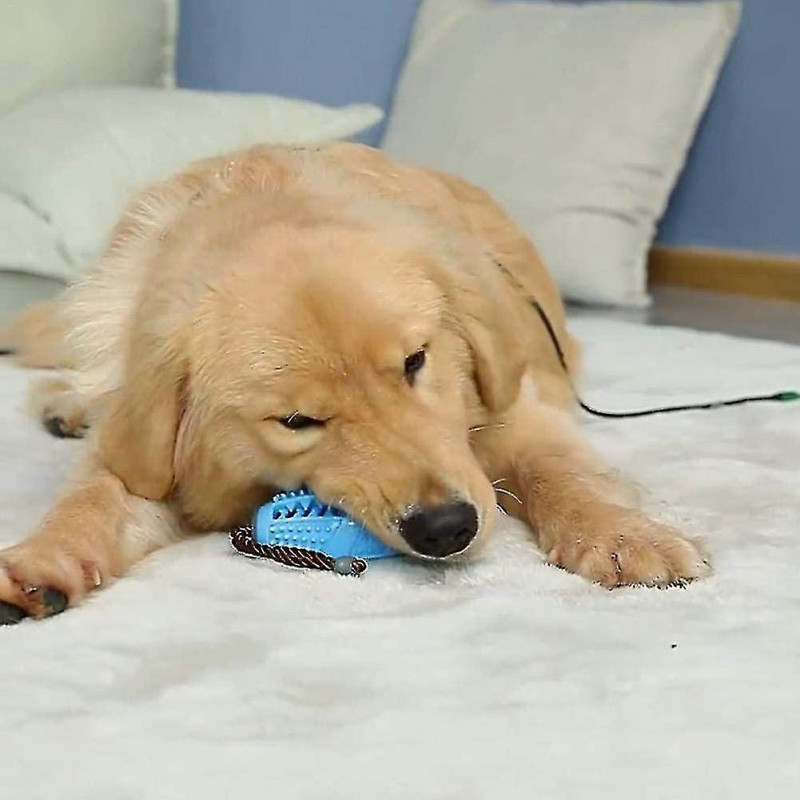 Dental Care For Dogs - Toothbrush Stick Ball Treat Dispenser, Puppies' Dental Hygiene Toy