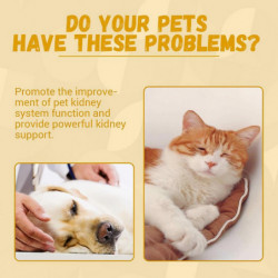 Huile de canneberge pour le soutien de la vessie du chien Supplément des voies urinaires pour chiot chaton