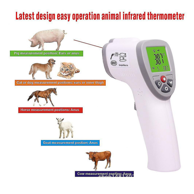 Thermomètre Animal Thermomètre Animal Animal Chien Chien Vache Mouton Cochon Lapin Infrarouge Sans contact Thermomètre