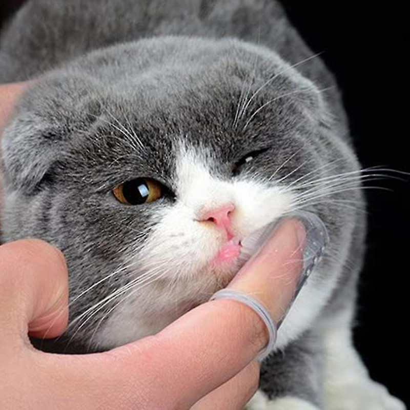 Pet Transparent Milky White Finger Toothbrush Compatible With Dogs And Cats