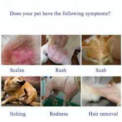 Pet Antibacterial Spray 50ml Pour Chiens Et Chats Pour Améliorer Les Croûtes Et Le Prurit