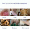 Pet Antibacterial Spray 50ml Pour Chiens Et Chats Pour Améliorer Les Croûtes Et Le Prurit