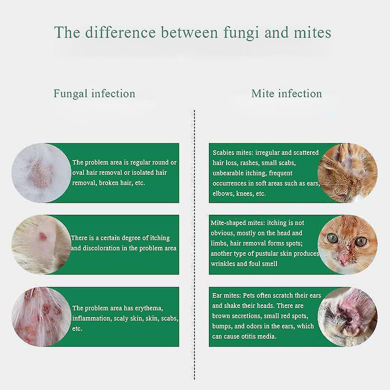 Pet Antibacterial Spray 50ml Pour Chiens Et Chats Pour Améliorer Les Croûtes Et Le Prurit