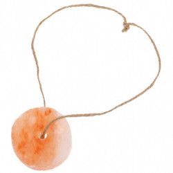 Petits animaux lécher les blocs de sel Blocs de sel minéral lapin Hamster blocs de sel minéral