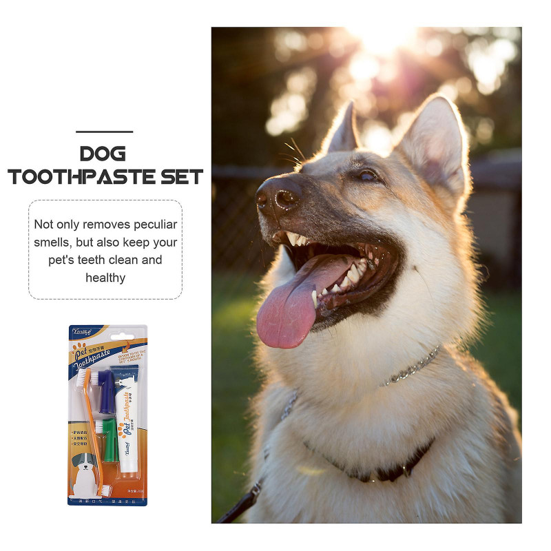 1 Set Dog Toothpaste Pet Periodontal Care Kit Oral Cleaning Supplies (Beef Flavor)