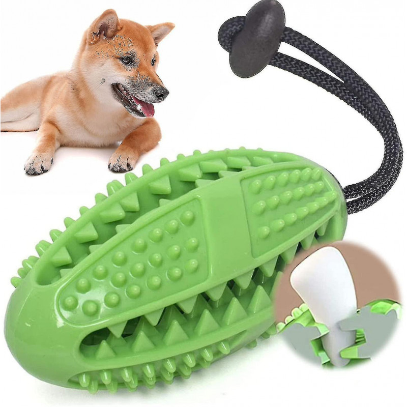 Brosse à dents Stick Ball Treat Distributeur pour chiens Chiots Soins dentaires