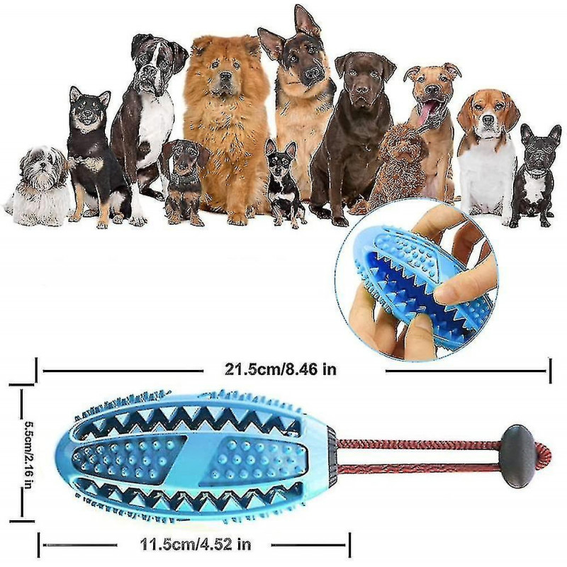 Brosse à dents Stick Ball Treat Distributeur pour chiens Chiots Soins dentaires