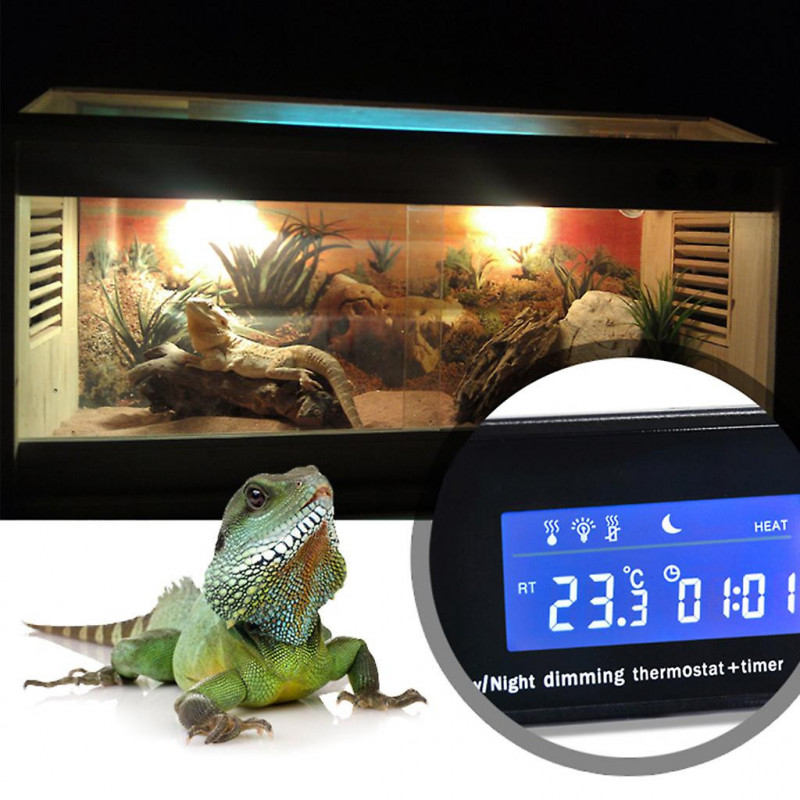 Thermostat numérique avec sonde de précision pour poisson d’aquarium de boîte de reptile pour réservoir