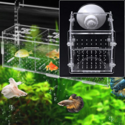 Fish for Tank Hatchery Incubator Aquarium Mini Breeding Box Acrylic Breeder
