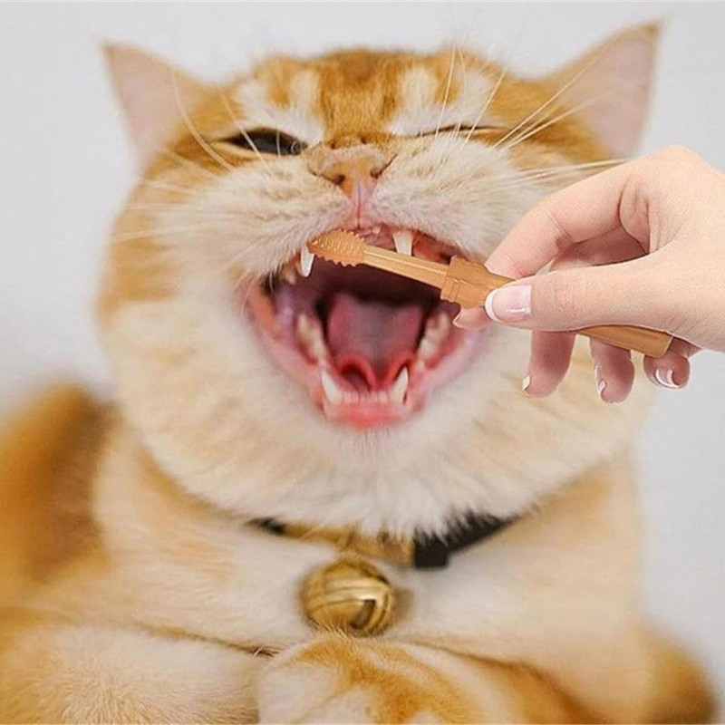 Dog Toothbrush, Flexibrush Pet Toothbrush With Tongue Scraper, Flexibrush Pet Toothbrush, Small Dog Toothbrush [...]