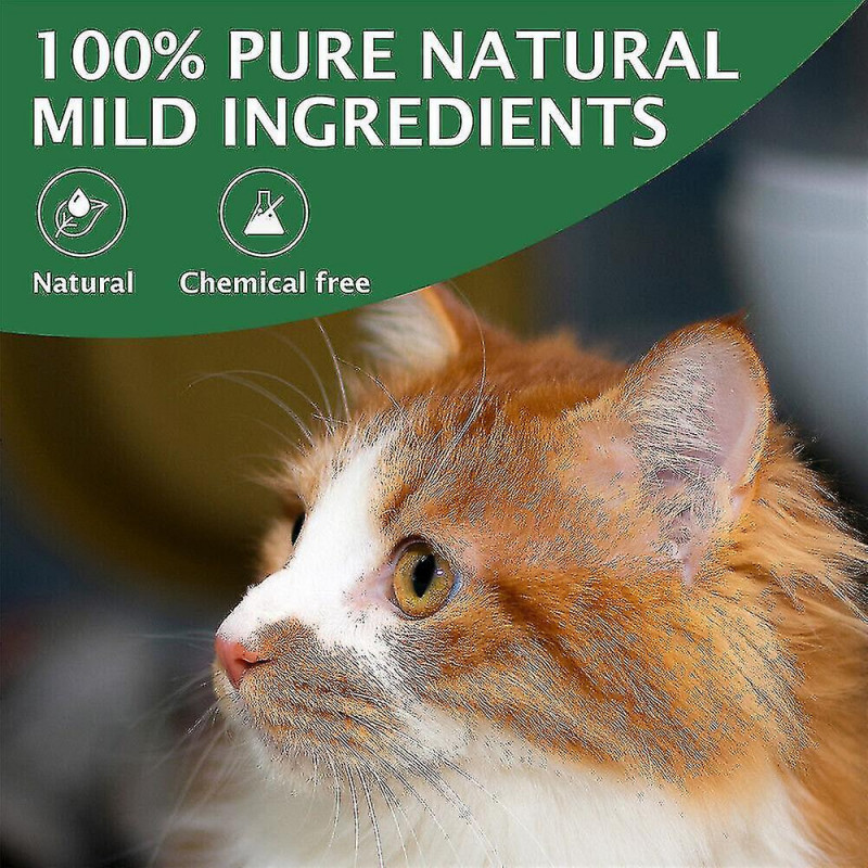 Gouttes oculaires pour la conjonctivite de chien et chat Jp