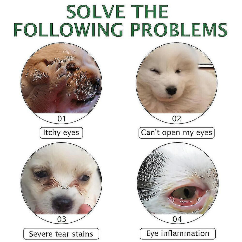 Gouttes oculaires pour la conjonctivite de chien et chat Jp