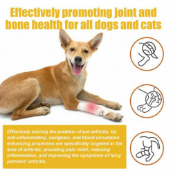 Yegbong Pet Joint Repair Spray Pet Joint Care soulage l’inconfort articulaire des animaux de compagnie et la [...]