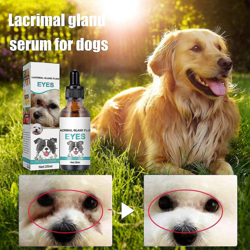 Gouttes pour les yeux de chien, gouttes de lavage pour les yeux de chien, détachant pour lacrymales, nettoyant [...]
