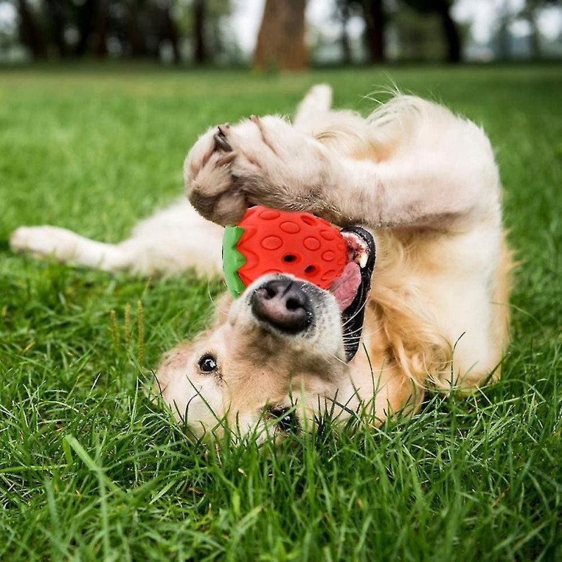 Brosse à dents pour chien Mâcher Jouet, Jouet à mâcher pour chien, Jouet dentaire de nettoyage des dents de chien