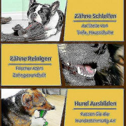 Brosse Dents Pour Chien, Jouets De Soins Dentaires Pour Chiens, Jouet