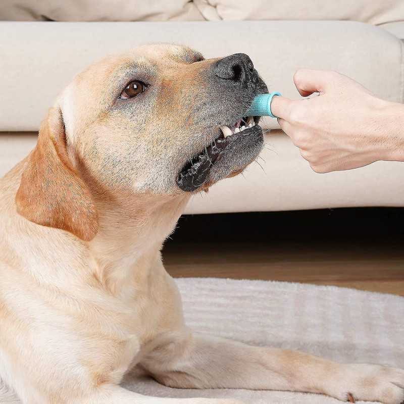Dog Toothbrush For Dogs Soft Finger Toothbrush Made Of Food Safe Silicone For Dogs, Cats And Pets - 360 Fully [...]
