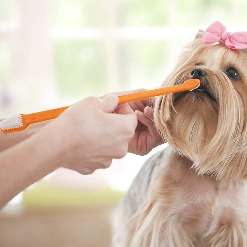 15pcs Pet Toothbrushes Set Dog Dental Hygiene Brushes Natural Rubber Pet Teeth Cleaning Pet Tooth Lege With 12x [...]