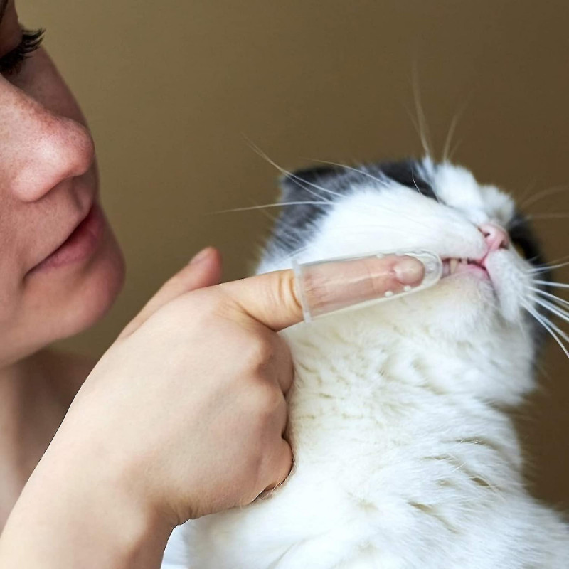 15pcs Pet Toothbrushes Set Dog Dental Hygiene Brushes Natural Rubber Pet Teeth Cleaning Pet Tooth Lege With 12x [...]