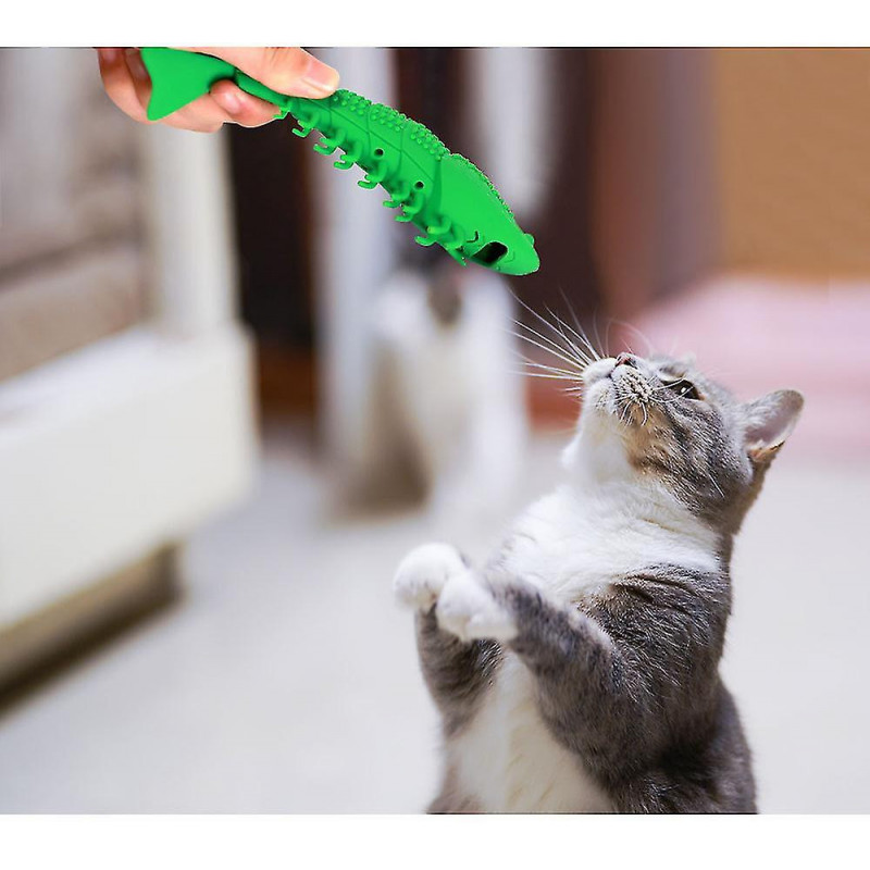 Brosse à dents révolutionnaire pour chat1pc-bleu