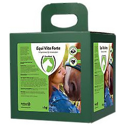 Equi Vita Forte
