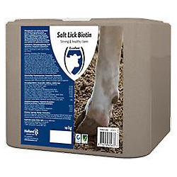 Lécher la pierre « BIOTINE »