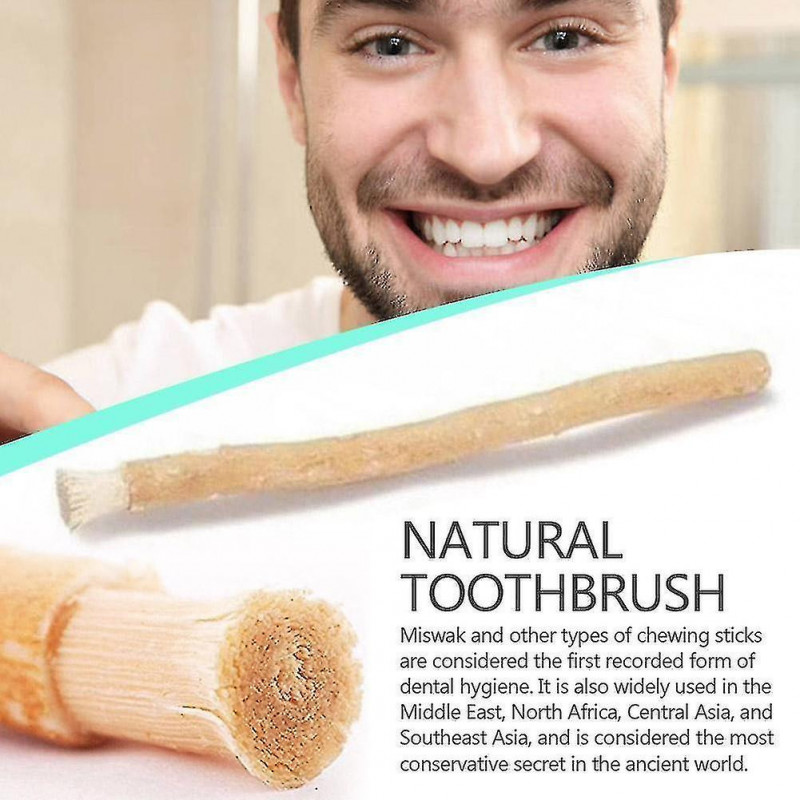 Miswak Meswak Siwak Brosse à dents naturelle Peelu Dents Gencives Healthpremium Qult