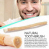 Miswak Meswak Siwak Brosse à dents naturelle Peelu Dents Gencives Healthpremium Qult