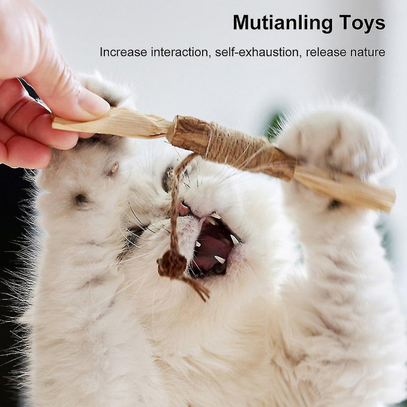 2pcs Chew Sticks Natural Silvervine Teeth Cleaning Dental Funny Kitten Chumian