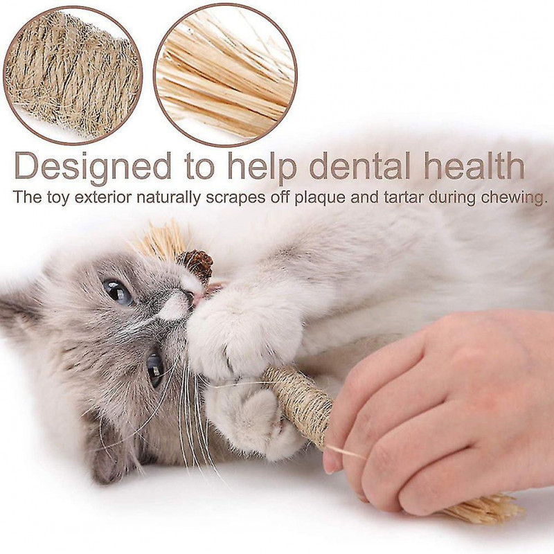2pcs Chew Sticks Natural Silvervine Teeth Cleaning Dental Funny Kitten Chumian