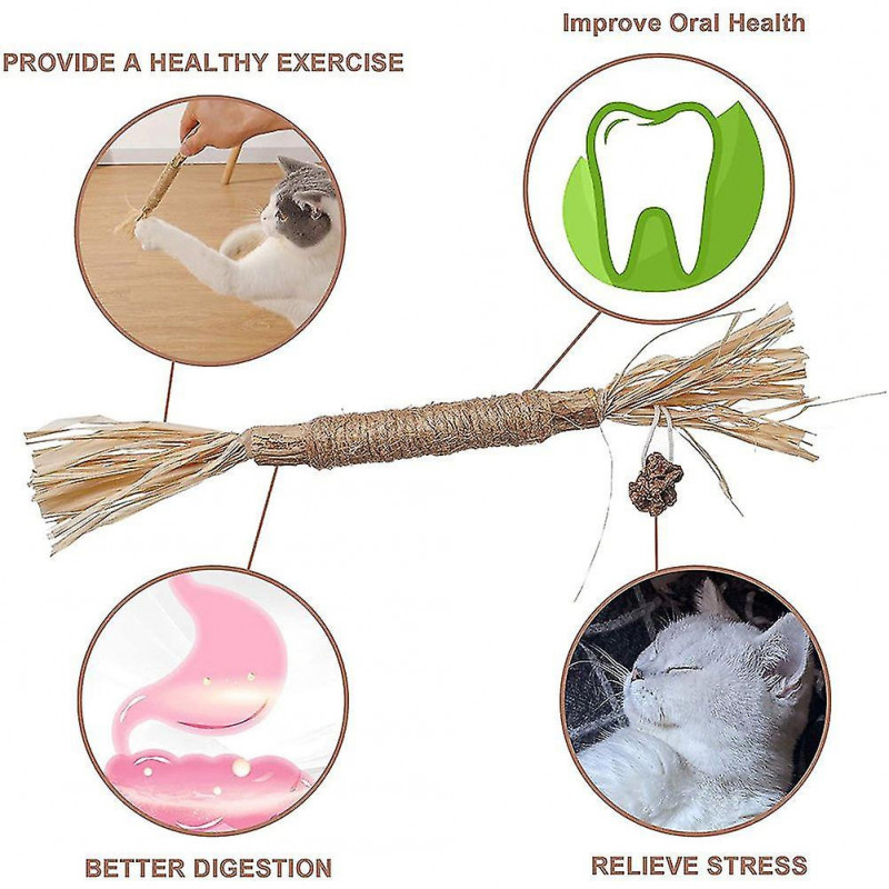 2pcs Chew Sticks Natural Silvervine Teeth Cleaning Dental Funny Kitten Chumian