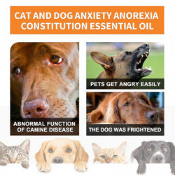Soulagement de l’anxiété des animaux de compagnie Supplément calmant d’huile essentielle Anorexie pour les chats [...]