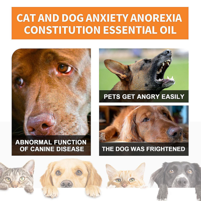 Soulagement de l’anxiété des animaux de compagnie Supplément calmant d’huile essentielle Anorexie pour les chats [...]