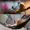 4 Pieces Reptile Hammock, , Lizard, Triple-cornered, Toys With Suction Cups
