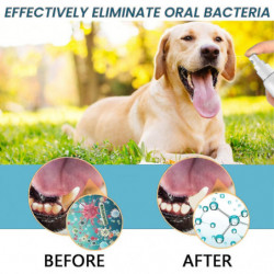 2 Pcs Pet Oral Spray To Remove Oral Odor Yellow Teeth Dog Cat Oral Cleaning Care Spray